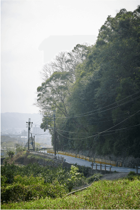 山間路